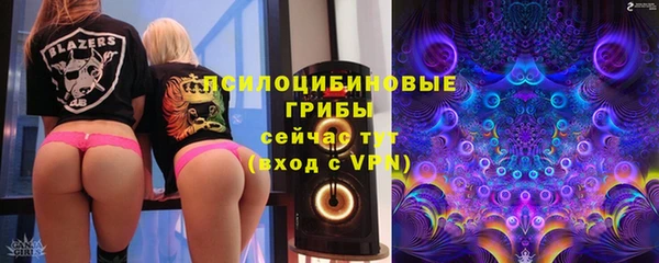 ешки Богданович