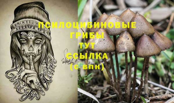 спайс Богородицк
