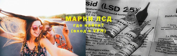 шишки Слюдянка