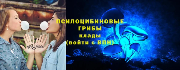 спайс Богородицк