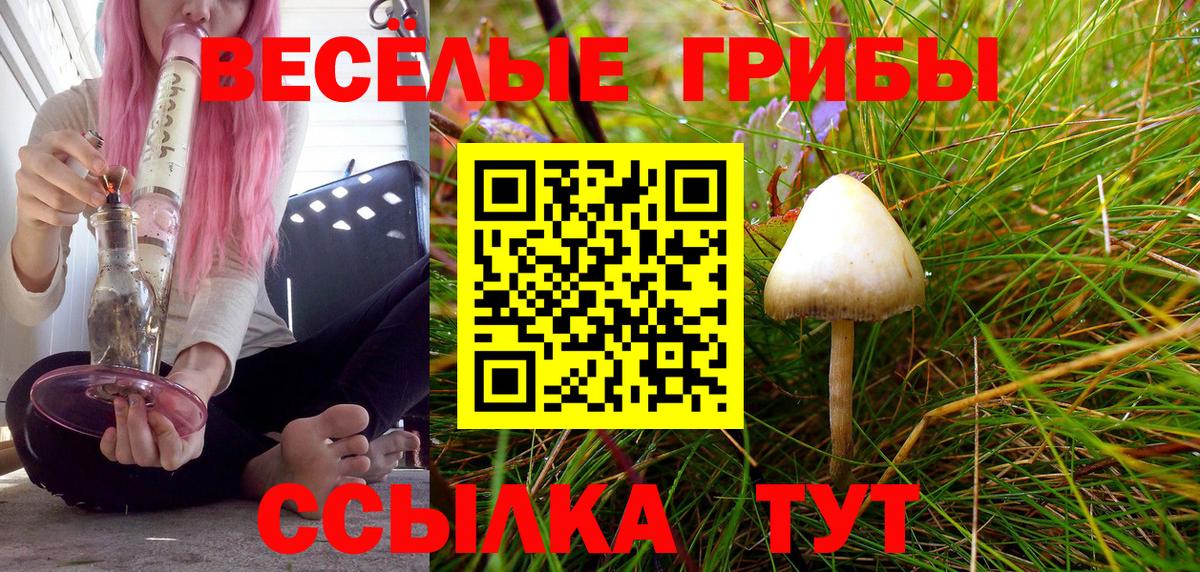 Псилоцибиновые грибы Psilocybe Обь